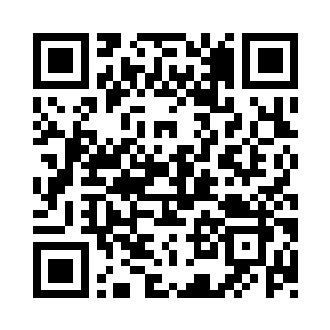 我看到不远处一棵树的树皮让人扒下来二维码生成