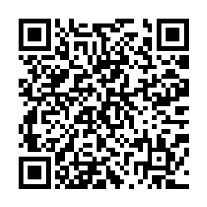 我看到两个三十多岁的家伙拿着马刀从楼梯那一边跑了过来二维码生成