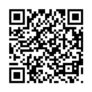 我看到了他们眼神里交汇着的那种东西二维码生成