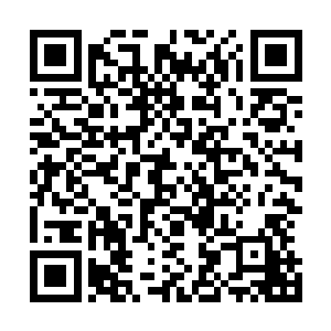 我看到了那些在输掉比赛之后依然为我们鼓掌和歌唱的球迷二维码生成