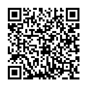 我看到他手掌里淡出了一股子比雷炁还要阳刚猛烈千百倍的力道二维码生成