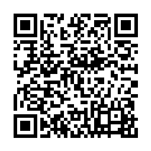 我看到修罗黑影的手臂已经全都收回到了身后人二维码生成