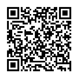 我看到坐在车内的汪逹朋已经戴上澹台璃留在车内的墨镜二维码生成