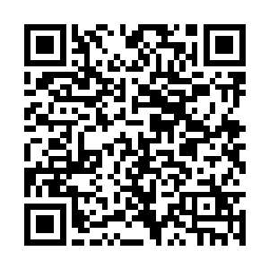 我看到妈妈正在费力地朝路过的人宣传自己的小吃二维码生成