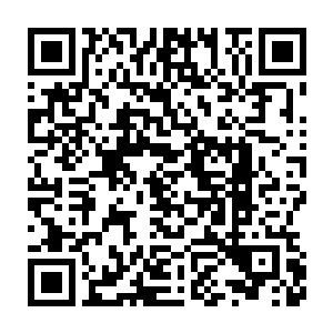 我看到守林人正坐在他存储物件的树洞旁边低着头不知道在想些什么二维码生成