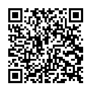 我看到守林人正背对着我背着手立在树洞旁边一动不动二维码生成