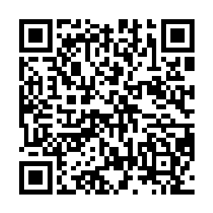 我看到床头有一对绿莹莹的眼珠子正一动不动地望着我二维码生成