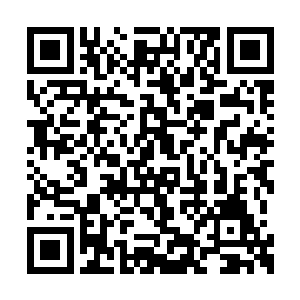 我看到浅色元君手中的拂尘丝却不经意的抖动着二维码生成