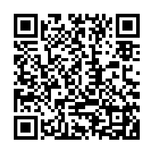 我看到湖面上出现了一抹蓝色的庞大身影在往湖下拼命的游着二维码生成