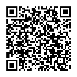 我看到那之前一直待在蛇派掌门院子里的那长蛇从远处现身急速窜到楚天中身边二维码生成