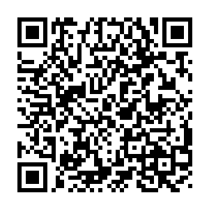 我看在你是酒店的元老份上才将我们新叶国际酒店第一家店托付于你二维码生成