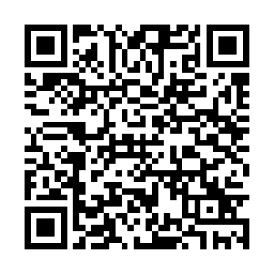 我看太夫人也是怕以后定远侯世子夫人为太太撑腰二维码生成