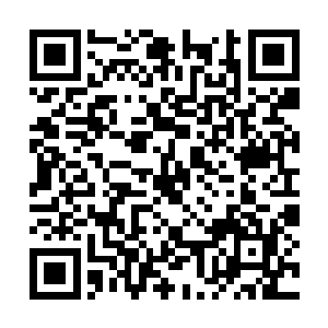 我看是他们才对……所以就忍不住给他们一点教训二维码生成