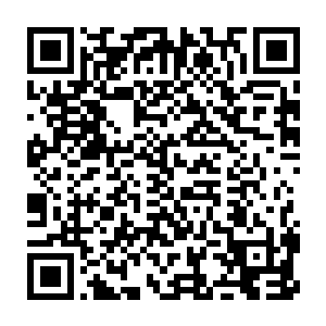 我看根本就是你们新生当中有一些人根本不服从军训的纪律和规章二维码生成