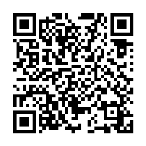 我看用不了多久在你身上又要按上一个伯乐的名字了吧二维码生成