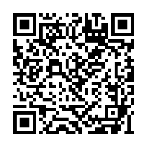 我看看你有什么本事从军候殿和社稷学府的手上二维码生成