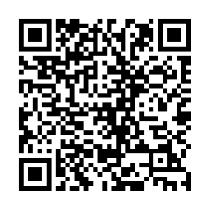 我看着一边道歉一边送人出去后静静的望着远方的同木二维码生成