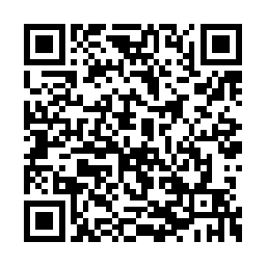 我看着山神大人原本就洗得发黄的衬衫上的汤汁二维码生成