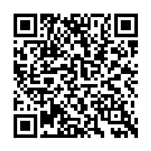 我看着左右手已经不知道换了几次碗的山神大人二维码生成