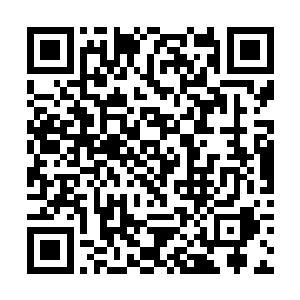 我看着白奇雪激动的样子根本不知道该怎么跟她解释二维码生成