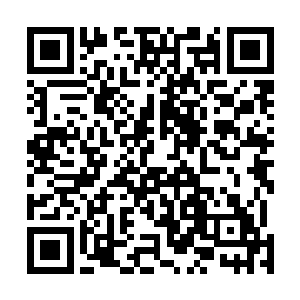 我看着那一个个身体僵硬沉进水下的人心中还是有些不忍二维码生成