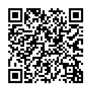 我看见他的时候他双腿已经不知道被什么东西撕扯掉了二维码生成