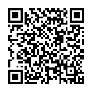 我看让我们楚家的一个大罗金仙后期巅峰就可以轻松击败她二维码生成