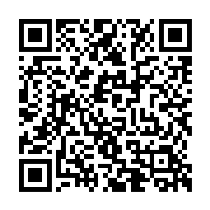 我看这一次实验成功的几率至少会达到三成以上二维码生成