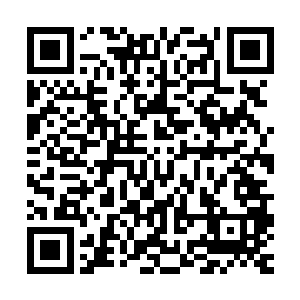 我看这个生死誓就是用来可就是这些修真者用来逗趣我们的罢了二维码生成