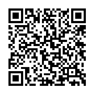 我看这都察院的言官们都是吃饱了撑的没事干了二维码生成
