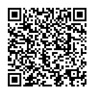 我看这鲁一林过来示好八成是希望你二哥不要插手北山区旧城改造的事情二维码生成