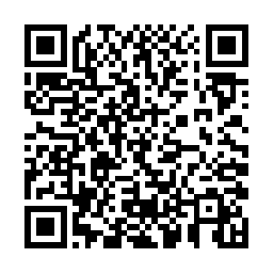 我看那个修习了佛门功法的范道友也不会被我蛊惑的二维码生成