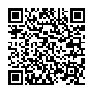 我看那叶尊八成是在青火部落的人没来之前就已经出城了二维码生成