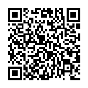 我看那坚硬的黑檀木茶案上赫然印了一排清晰的指印二维码生成