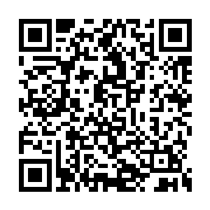 我看雷志虎也别想指望着那个市委常委的位置了二维码生成