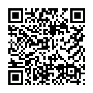 我真不知道该用什么样的态度跟杰出校友们打招呼二维码生成