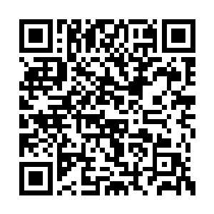 我真怀疑你的脸皮是否比皇宫宫墙的转角还要厚二维码生成