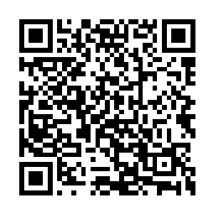 我真想看看这个女修会不会也要云逸签订个契约二维码生成