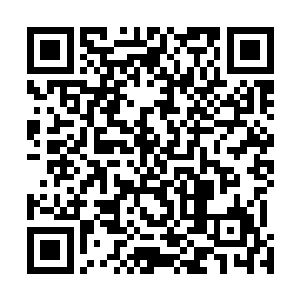 我真的是接上了之前养在金刚果里的两个小动物精气神儿二维码生成
