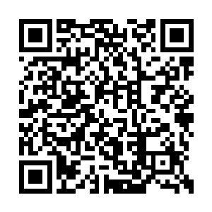 我真的没有这么想过啊都是那个无良的大叔坑我二维码生成