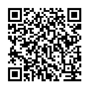 我真的没看……这个视频我是不小心从网上下载下来的……二维码生成