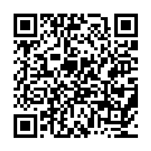 我真难以想象孙楚鹤的资质倒地抢到了什么样的天赋二维码生成