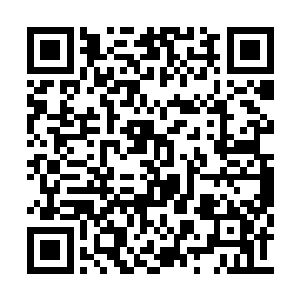 我眼前一黑出现在在门帘后的世界满目的血红色二维码生成