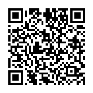 我瞬间想起了在我的纸人视线中久违露面的莉莉妈妈二维码生成