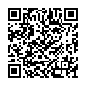 我知道他为什么不传你那种让他迅速强大的秘法二维码生成