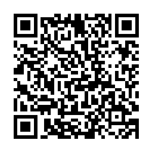 我知道你一个人完成这项设计工作量可能太大了一些二维码生成