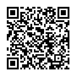 我知道你们小罗天和大罗天世仇・但是在大利益面前二维码生成