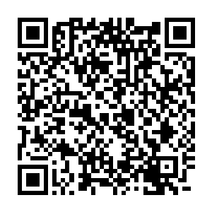 我知道你可能对这套在一定程度上要牺牲中路保其他路的体系有些意见二维码生成