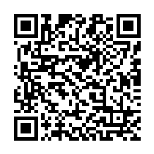 我知道你现在应该就在这社稷图外围寻找阵眼对不对二维码生成