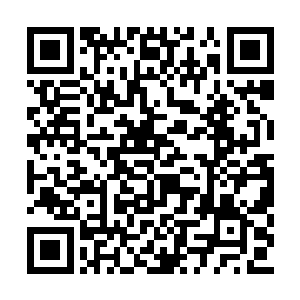 我知道你现在特训肯定是为了半月后的学子考核二维码生成